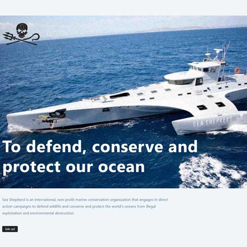 Sea Shepherd – React.js 2021 (Independent)